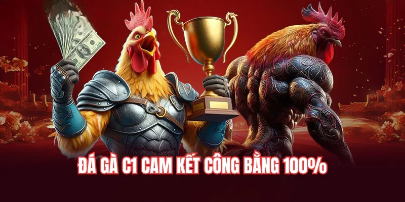 Đỉnh cao giải đấu đá gà C1 2025